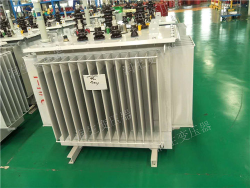炎陵S22-1600KVA/10KV/0.4KV油浸式变压器